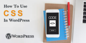 use CSS in wordpress
