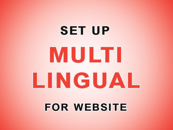 set up multilingual for website