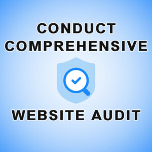 conduct comprehensive website audit