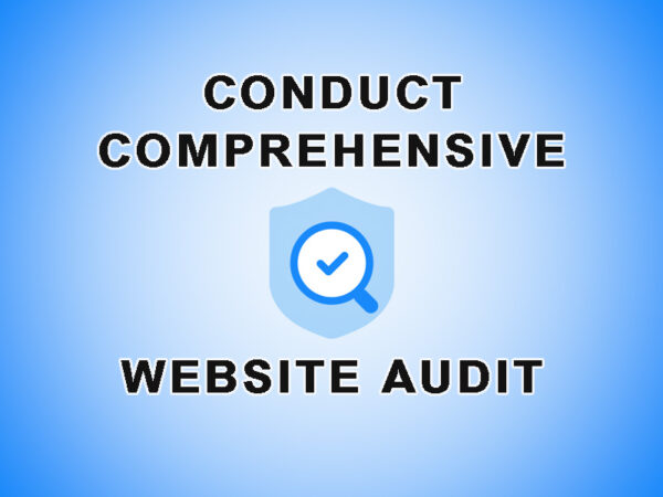 conduct comprehensive website audit