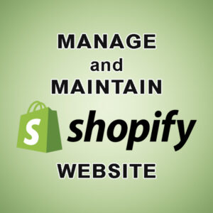 manage and maintain Shopify website