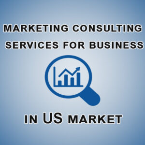 marketing consulting services for business in US market